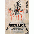 Metallica - Mexico City, Mexico (1993) (PAL DVD-R disc)