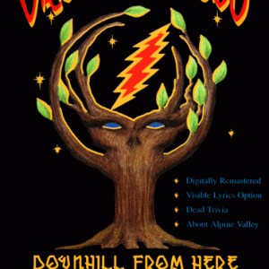 Grateful Dead - Alpine Valley (July-17-1989) (1 PAL DVD-R disc)