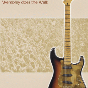 Dire Straits - Wembley Does The Walk (1 PAL DVD-R disc)