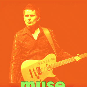 Muse - Bonnaroo Festival (2018) (1 PAL DVD-R disc)