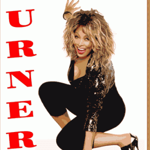 Tina Turner - Private Collection (1 PAL DVD-R disc)