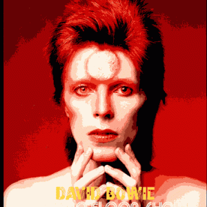 David Bowie - 1980 Floor Show Complete Lost Masters (4 PAL DVD-R discs)