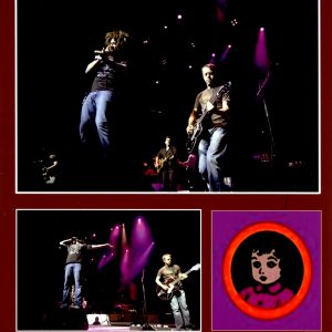 Counting Crows - Pinkpop Festival (2008) (1 DVD-R disc)