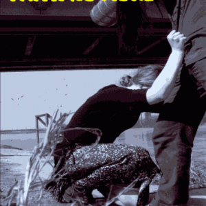 Faith No More - Bizarre Festival, Germany (1997) (1 NTSC DVD-R disc)