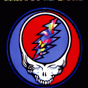 Grateful Dead - Soldier Field, Chicago (1995) (1 NTSC DVD-R disc)