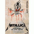 Metallica - Mexico City, Mexico (1993) (NTSC DVD-R disc)