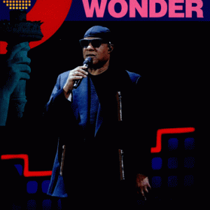 Stevie Wonder - Global Citizen Festival (2017) (1 DVD-R disc)