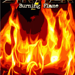 Stryper - Burning Flame - Live In Japan (1989) (1 NTSC DVD-R disc)