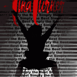 Tina Turner - Simply The Best (7 DVD-R discs and 1 Dual Layer DVD+R disc)